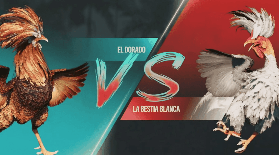 br345 oficiais do jogo site